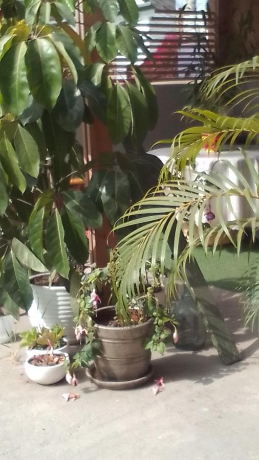 La Belle Vue Ξενοδοχείο Λίμα Εξωτερικό φωτογραφία